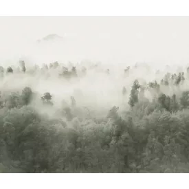 Rebel Walls / Mistic Shades