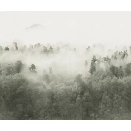 Rebel Walls / Mistic Shades