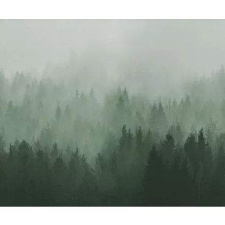 Rebel Walls / Mistic Shades