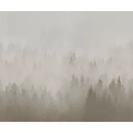 Rebel Walls / Mistic Shades