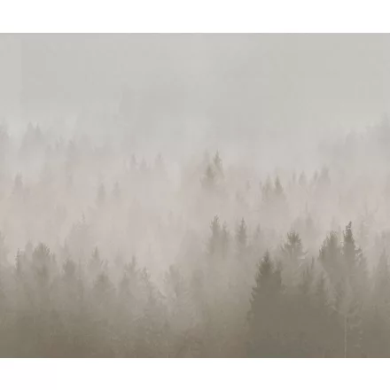 Rebel Walls / Mistic Shades