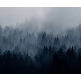 Rebel Walls / Mistic Shades