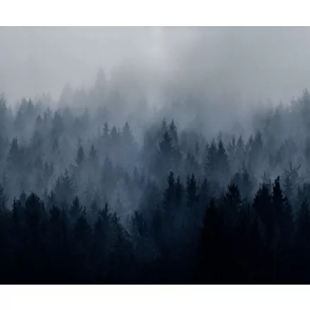 Rebel Walls / Mistic Shades