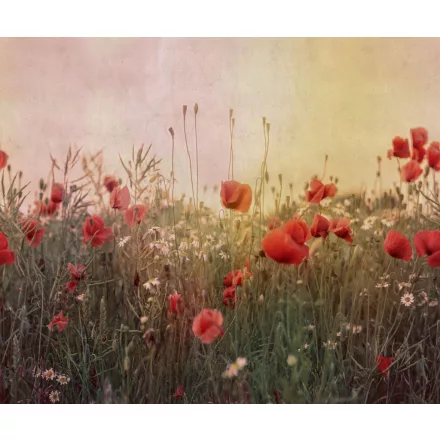 Rebel Walls / Mistic Shades