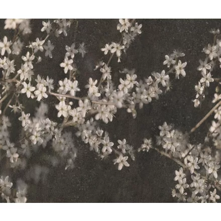 Rebel Walls / Mistic Shades