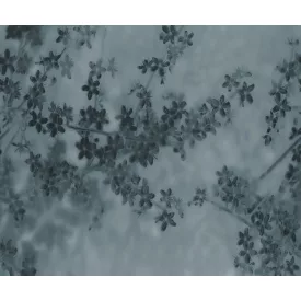 Rebel Walls / Mistic Shades