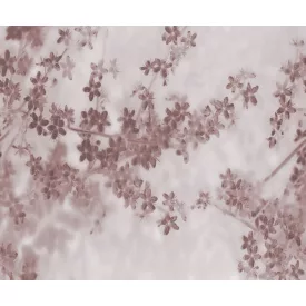 Rebel Walls / Mistic Shades