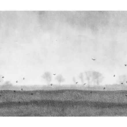 Rebel Walls / Mistic Shades