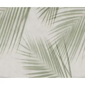 Rebel Walls / Mistic Shades