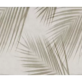 Rebel Walls / Mistic Shades