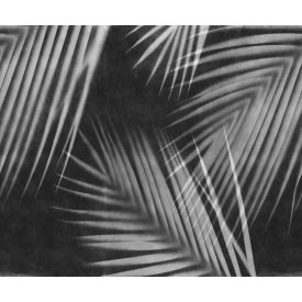 Rebel Walls / Mistic Shades