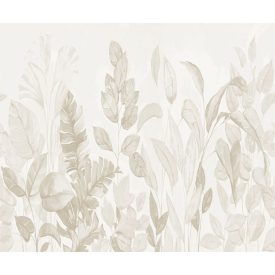 Rebel Walls / Hot Pops