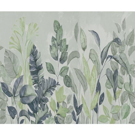 Rebel Walls / Hot Pops