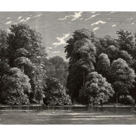 Rebel Walls / Vintage Brocade