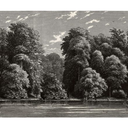 Rebel Walls / Vintage Brocade