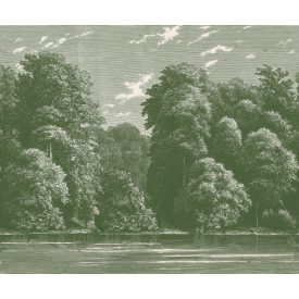 Rebel Walls / Vintage Brocade