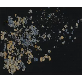 Rebel Walls / Imperfections