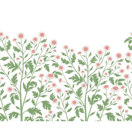 Rebel Walls / Cottage Core - Cottage Cool