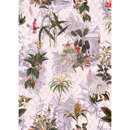 Komar / Raw Edition 1 poszter