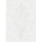 Komar / Raw Edition 1 poszter