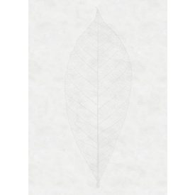 Komar / Raw Edition 1 poszter