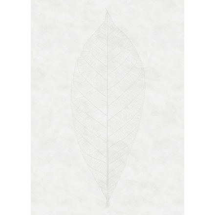 Komar / Raw Edition 1 poszter