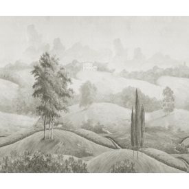 Rebel Walls / Scenic Landscapes