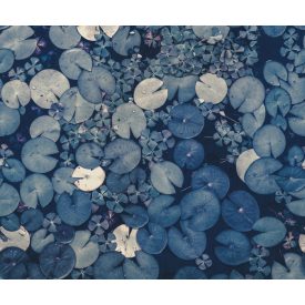 Rebel Walls / Mistic Shades