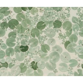 Rebel Walls / Mistic Shades