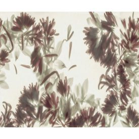 Rebel Walls / Mistic Shades