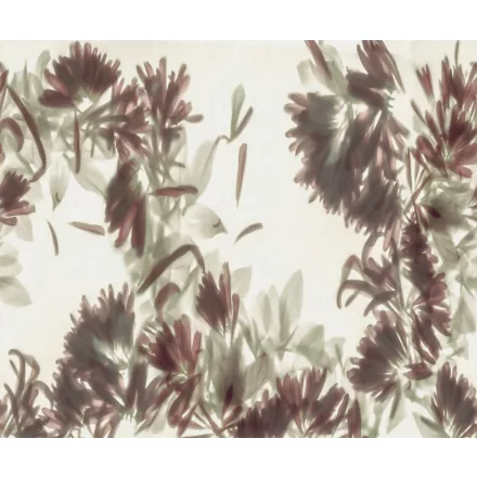 Rebel Walls / Mistic Shades