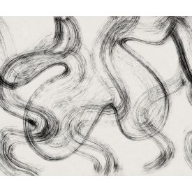 Rebel Walls / Mistic Shades