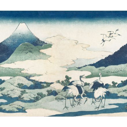 Rebel Walls / First Rebel