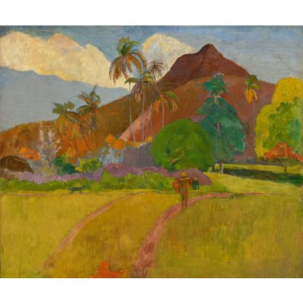 Rebel Walls / First Rebel