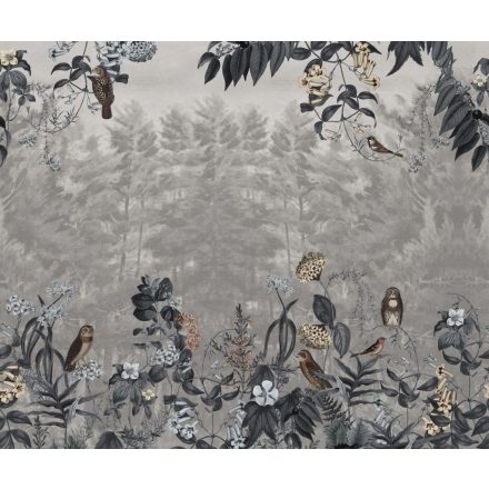 Rebel Walls / Hot Pops