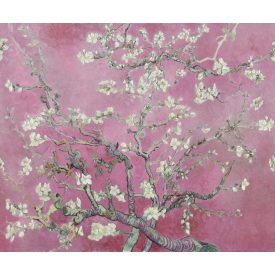 Rebel Walls / First Rebel