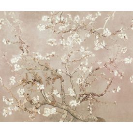 Rebel Walls / First Rebel