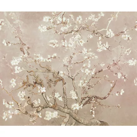 Rebel Walls / First Rebel