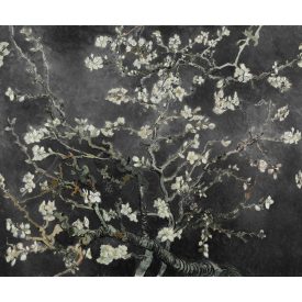 Rebel Walls / First Rebel