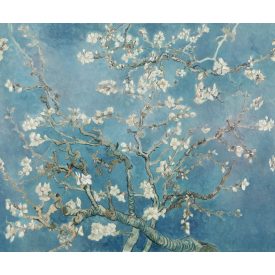 Rebel Walls / First Rebel