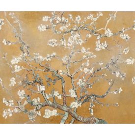 Rebel Walls / First Rebel