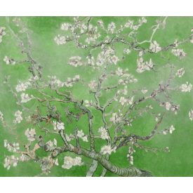 Rebel Walls / First Rebel