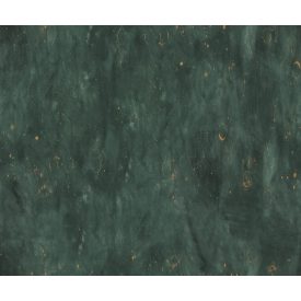 Rebel Walls / Family Fun