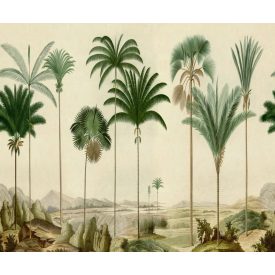 Rebel Walls / Eden Escape