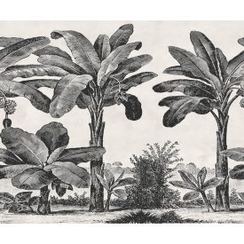 Rebel Walls / Eden Escape