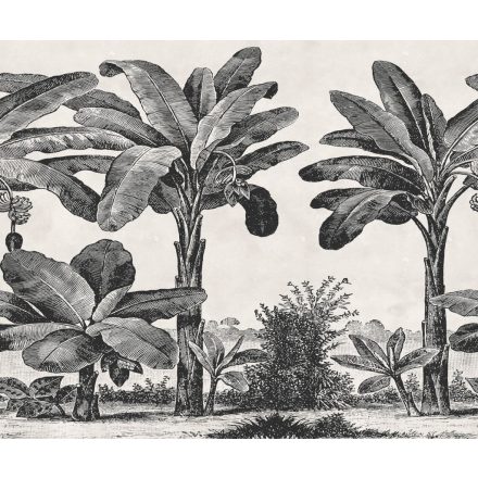 Rebel Walls / Eden Escape