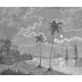 Rebel Walls / Eden Escape