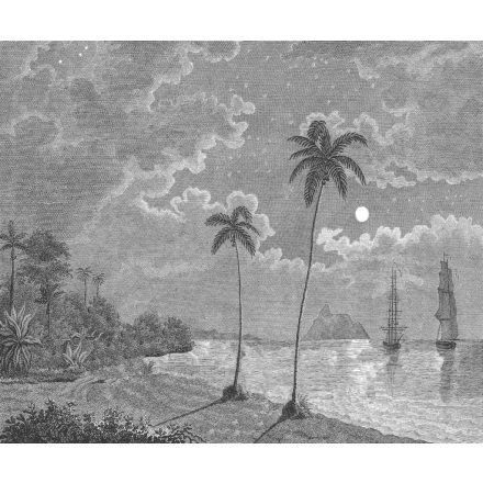 Rebel Walls / Eden Escape