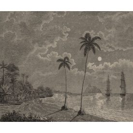 Rebel Walls / Eden Escape