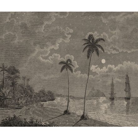 Rebel Walls / Eden Escape